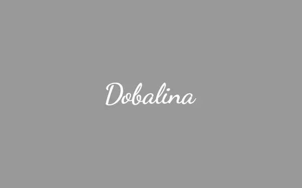dobalina.de