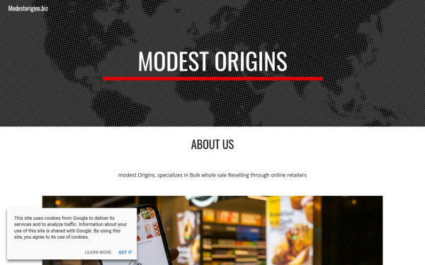 www.modestorigins.biz