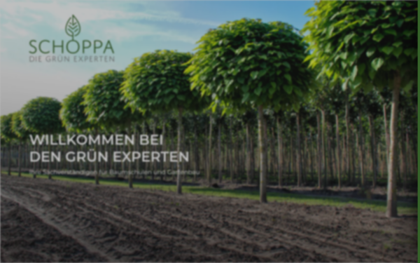 gruen-experten.de