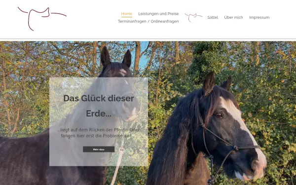 www.saddle-up.de