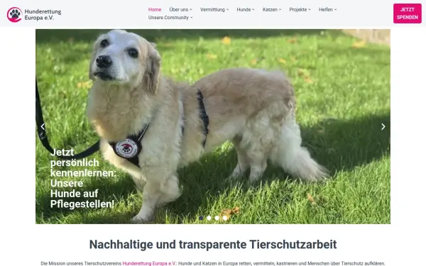 hunderettung-europa.de