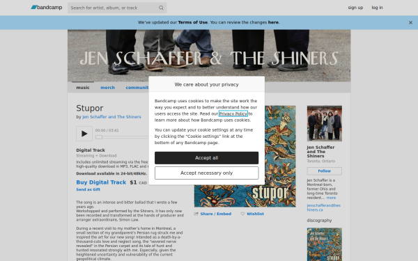 jenschafferandtheshiners.bandcamp.com