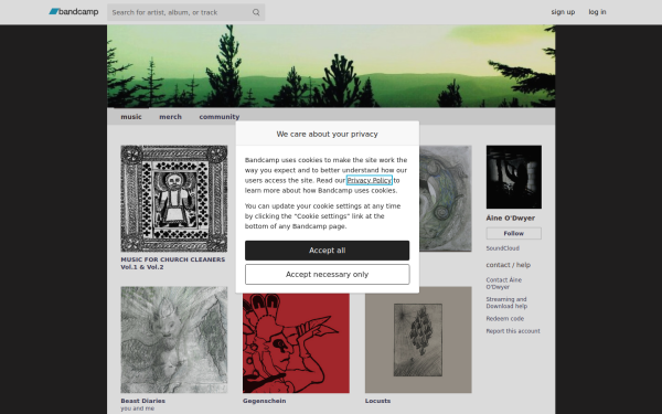 aineodwyer.bandcamp.com