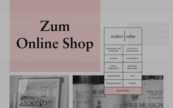 walterundsohn.de