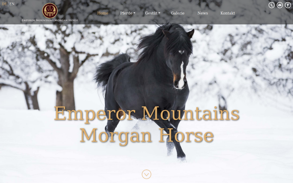 www.morganhorses.at