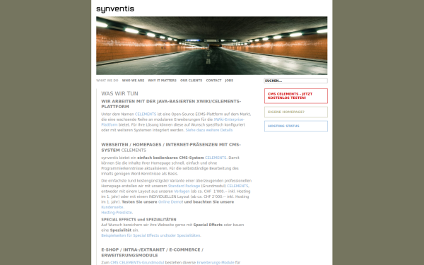 synventis.com