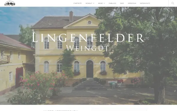 lingenfelder.de