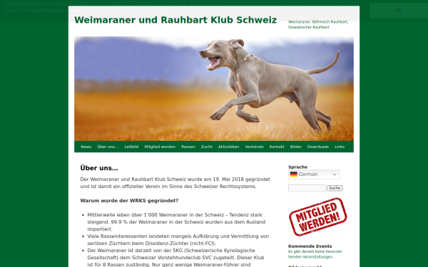 www.weimaraner-rauhbart.ch