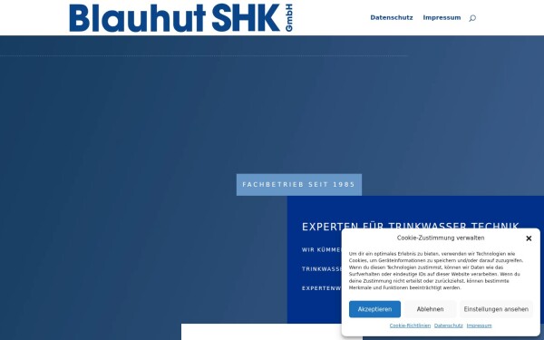 blauhut-technik.de