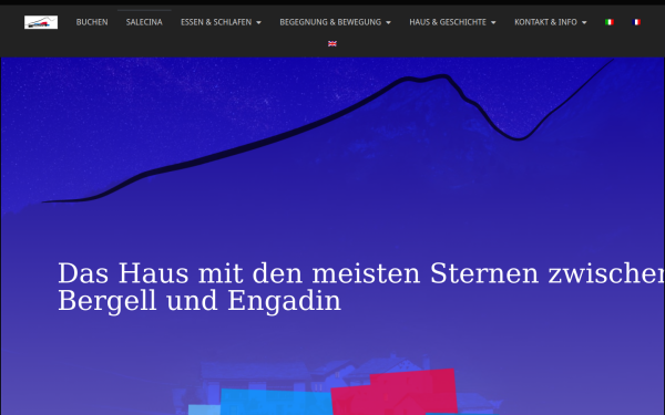 salecina.ch