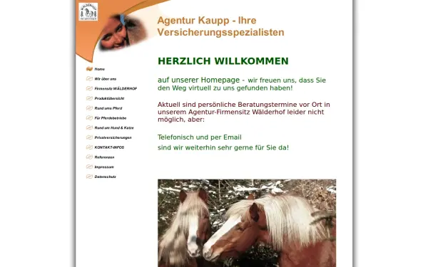 hengstversicherung.de