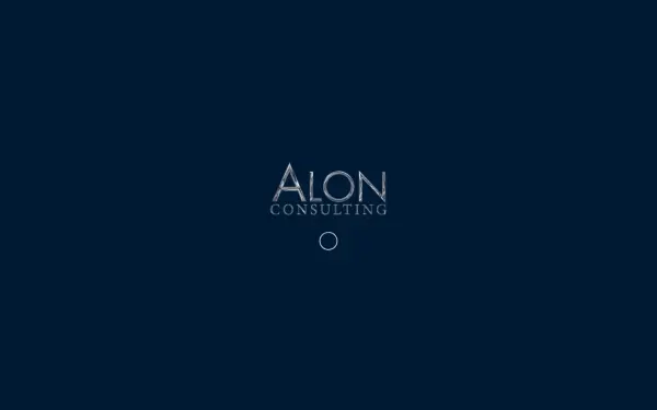 alon-consulting.de