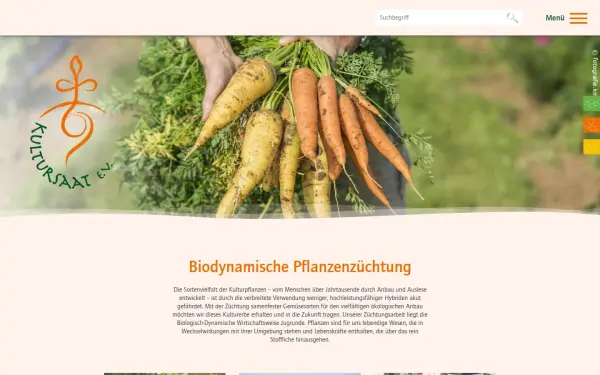 kultursaat.org