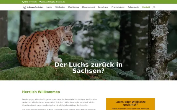 luchs-sachsen.de