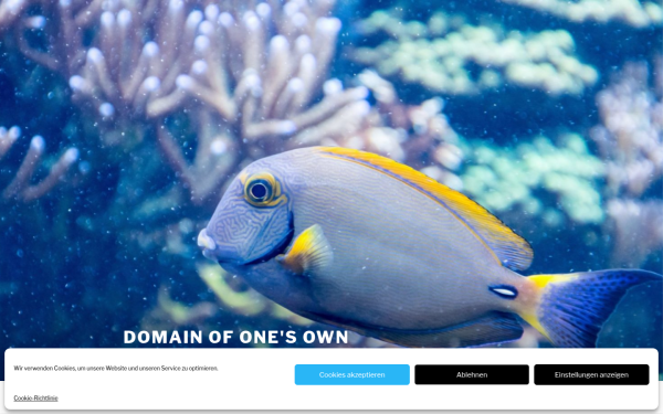 domain-of-ones-own.de