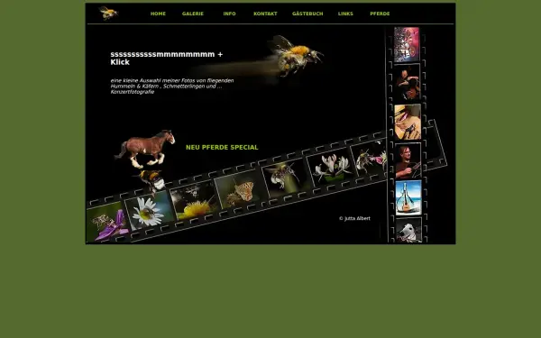albert-foto.de