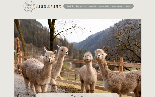 www.seeberger-alpakas.at