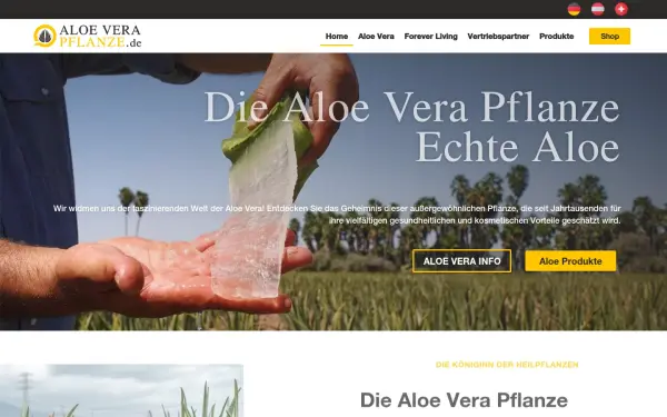 aloe-vera-pflanze.de