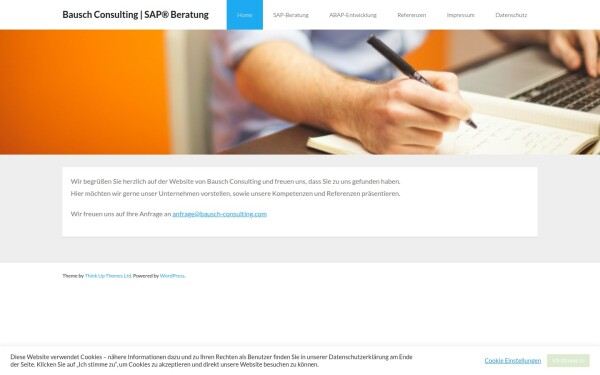 bausch-consulting.de