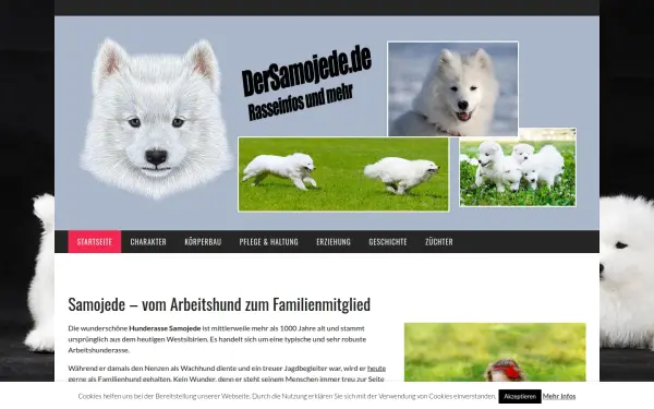 dersamojede.de