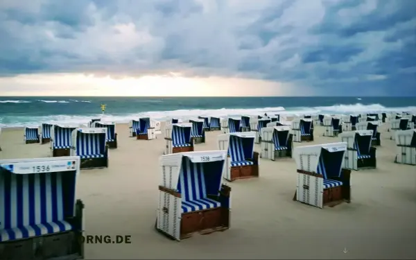 drng.de