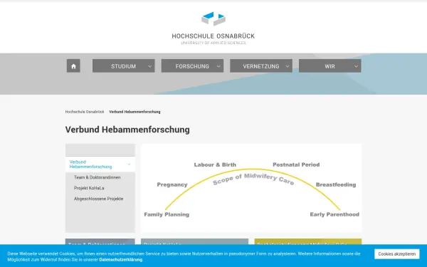 www.hebammenforschung.de