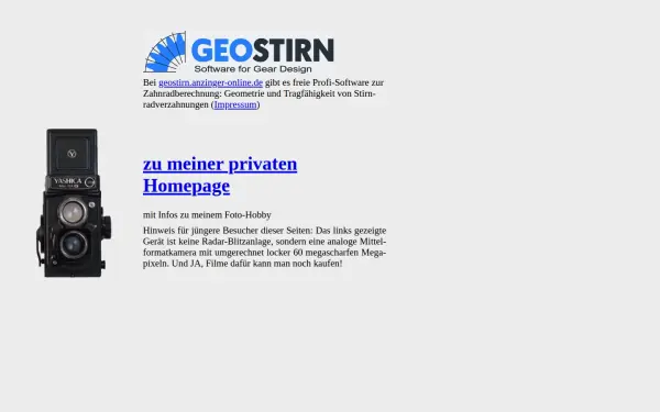 anzinger-online.de