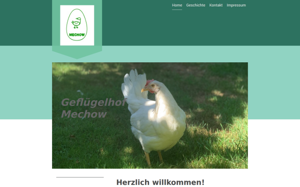 www.mechow.de