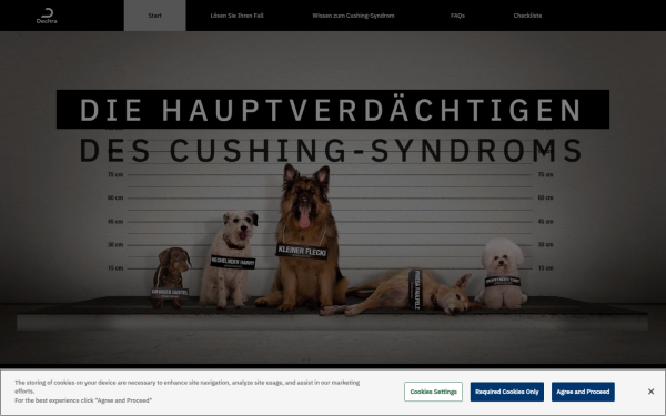 www.cushingverdacht.at