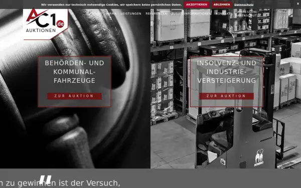 auktionshaus-raschke.de