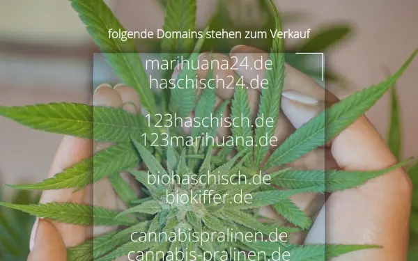 haschisch24.de