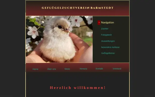 gzv-barmstedt.de