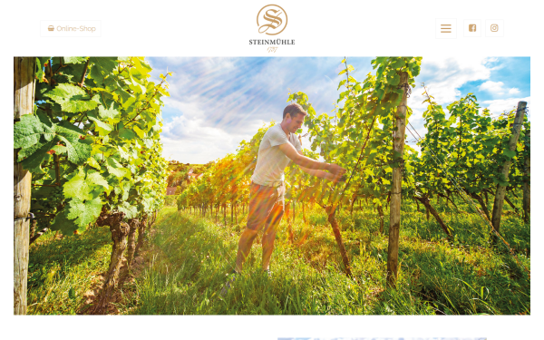 weingut-steinmuehle.de