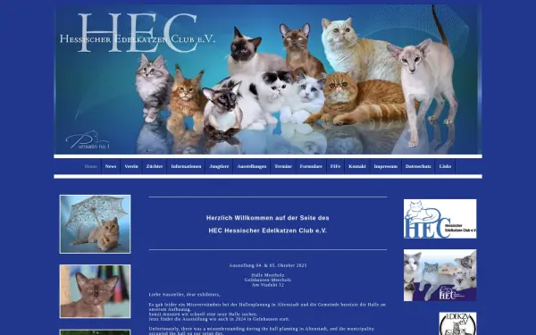 www.hec-edelkatzen.de
