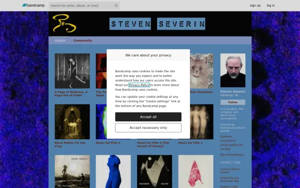 stevenseverin.com