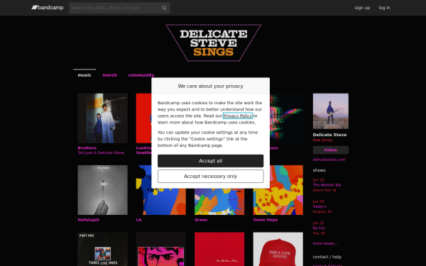delicatesteve.bandcamp.com