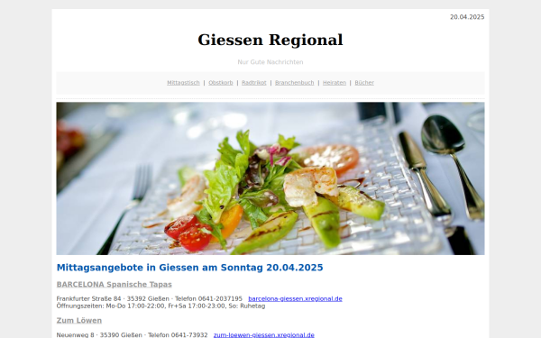 giessen-regional.de