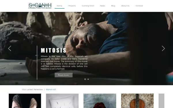 www.seganeh.com