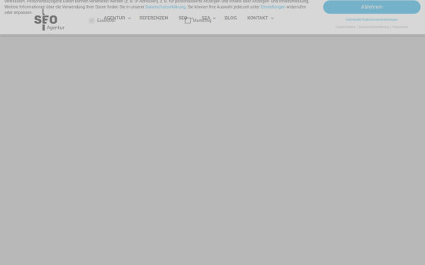 www.seo-agentur.biz