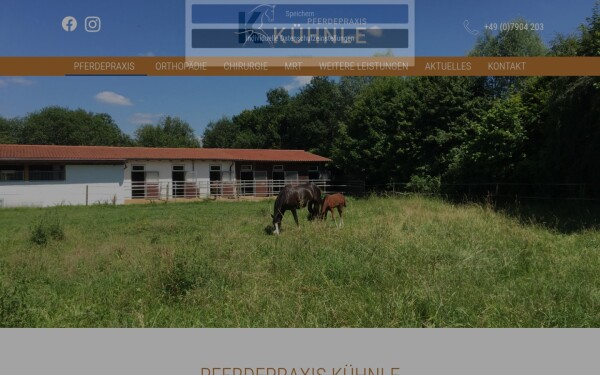 pferdepraxis-kuehnle.com