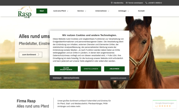 www.rasp-online.de