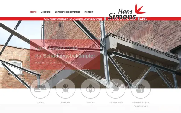 www.hans-simons.de