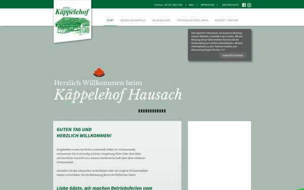 kaeppelehof-hausach.de