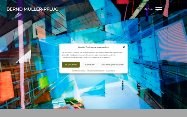 www.mueller-pflug.de