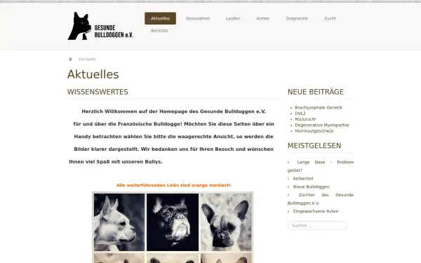 www.gesunde-bulldoggen.de