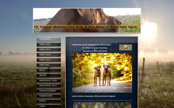 www.abubakar-chui.de