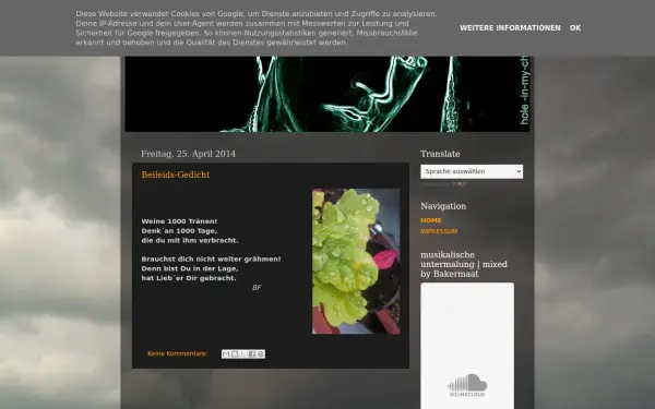 holeinmychest.blogspot.com