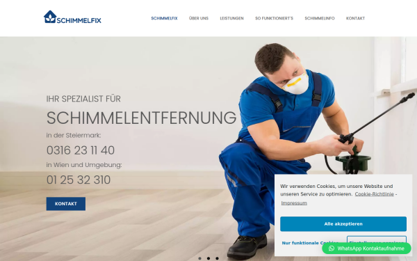 schimmelfix.at