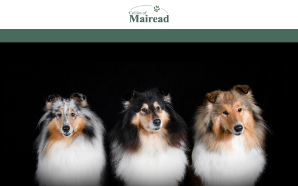 www.mairead-collies.de