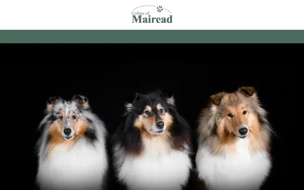 www.mairead-collies.de